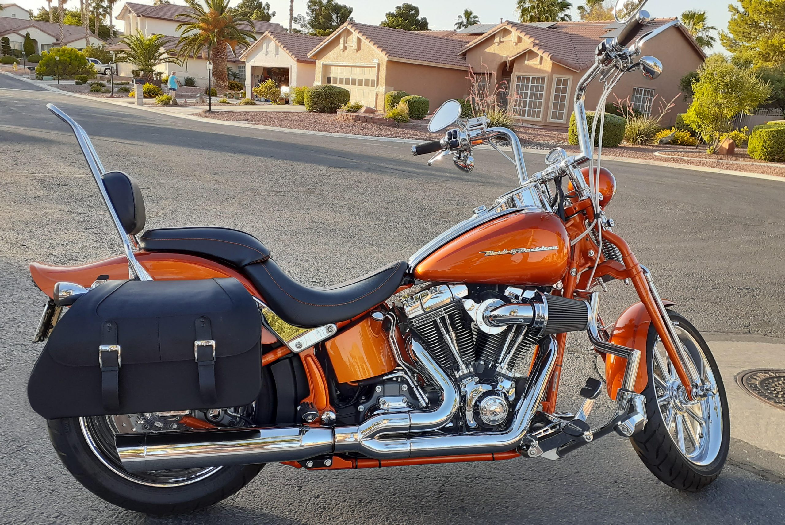 softail standard saddlebags